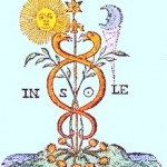 le Tantra